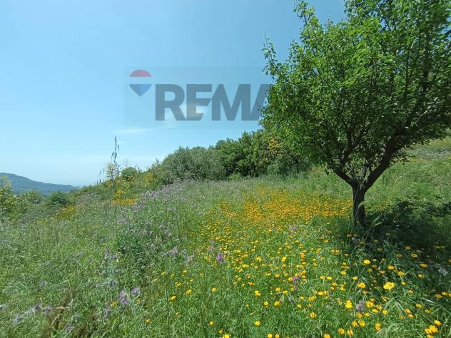 Rustico in vendita a Graniti - Foto 5