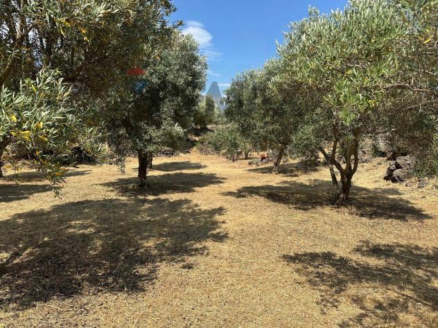 Terreno in vendita a Misterbianco - Foto 15