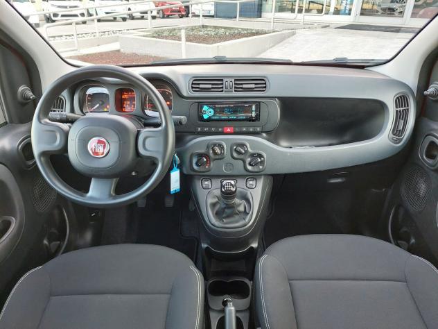 FIAT Panda Panda 1.0 firefly hybrid s&s 70cv - Foto 9