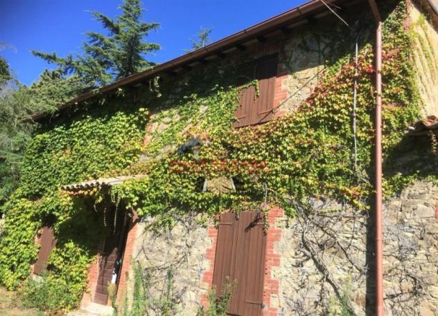 Orvieto - Vendesi casale con terreno a circa 15 chilometri da Orvieto. - Foto 2