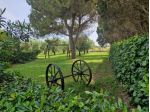 Casale in vendita a Piombino 300 mq  Rif: 1272388