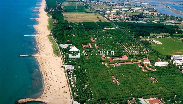 AREA EDIFICABILE di 33000 mq (CAVALLINO TREPORTI) rif. DG008B - Foto 3