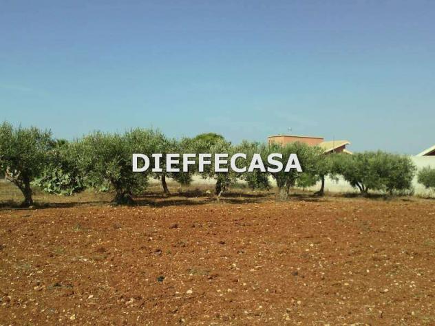 V1363 - In vendita a Marsala terreno in periferia