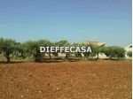 V1363 - In vendita a Marsala terreno in periferia