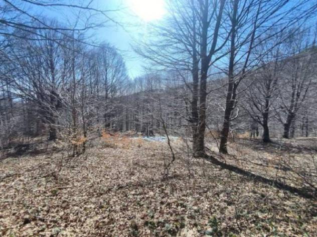 Immobile in asta di 130855 m² in vendita a Verghereto - Foto 11