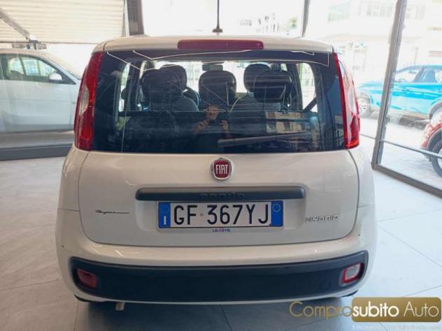 FIAT Panda 1.0 FireFly S&S Hybrid City Life rif. 24108196 - Foto 5