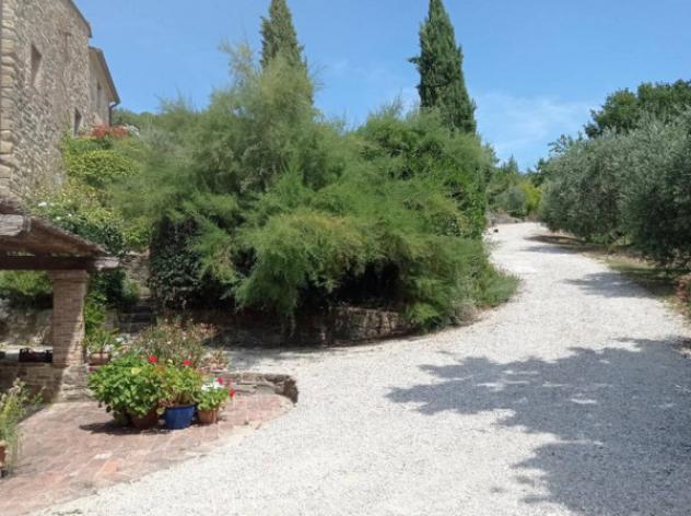 Immobile in asta di 236678 m² con più di 5 locali in vendita a Gubbio - Foto 11