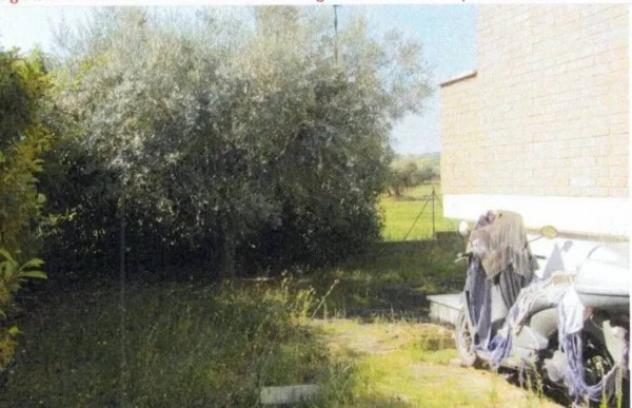 Immobile in asta di 283 m² con più di 5 locali e box auto in vendita a Sant'Egidio alla Vibrata - Foto 20