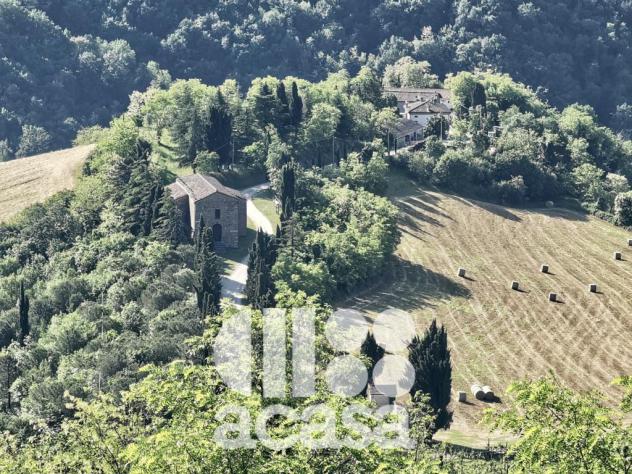 RINOMATA ATTIVITA' DI RISTORAZIONE - Foto 12
