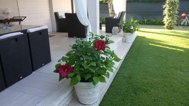 Villa in affitto a Forte dei Marmi 200 mq Rif: 1177686 - Foto 5