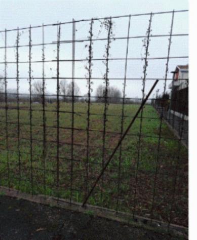 Immobile in asta di 2 m² in vendita a Pianiga - Foto 12