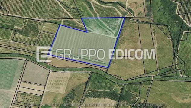 Terreno in vendita a Tursi - Rif. 4555879 - Foto 2