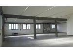 Capannone artigianale in affitto a Gambassi Terme 600 mq  Rif: 1365901