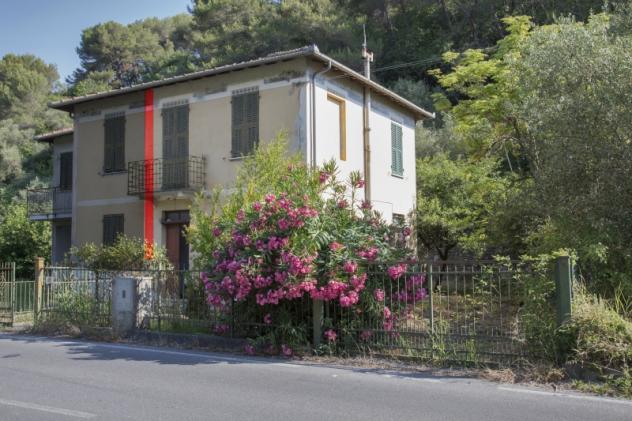 ANDORA PRIMO ENTROTERRA VIA DIVIZIA 118 - Foto 3