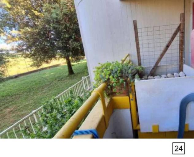 Immobile in asta di 80 m² con più di 5 locali in vendita a Canino - Foto 12