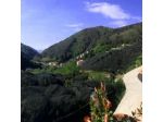 B&B Bouganville