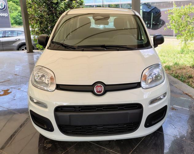 FIAT Panda 1.0 FireFly 70cv S&S Hybrid - Foto 4