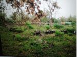 terreno agricolo