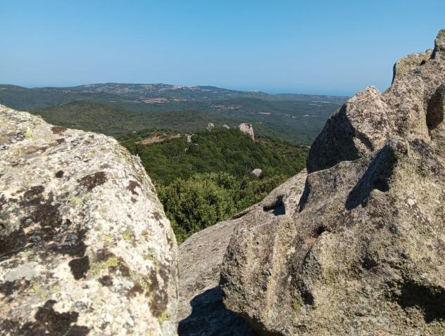 Casale in vendita a Luogosanto - Foto 4