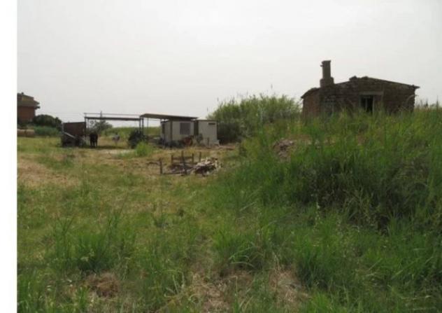 Immobile in asta di 1248 m² in vendita a Santa Marinella - Foto 6