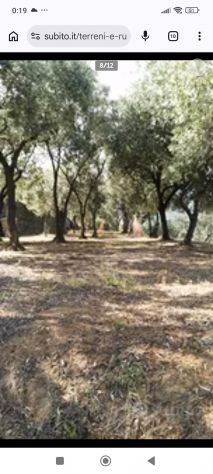 Terreni in vendita - Foto 10