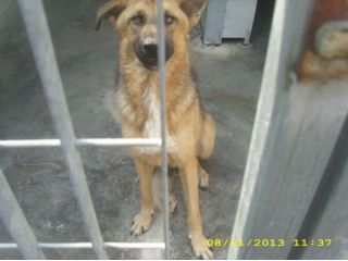 ARTU ', giovane e giocherellone