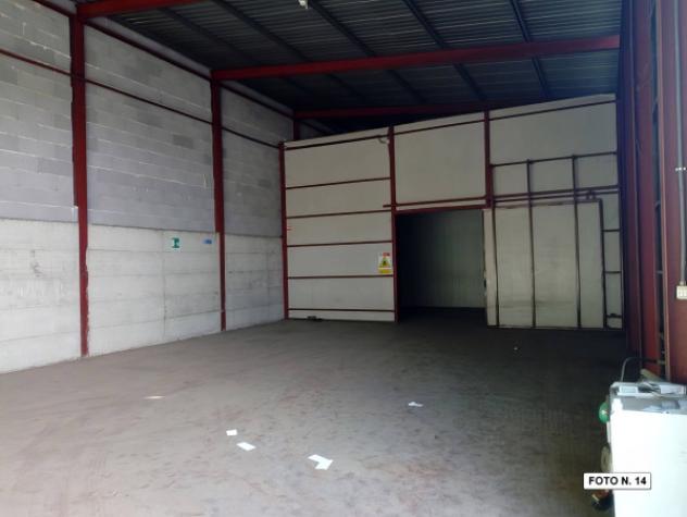 Immobile in asta di 11410 m² con più di 5 locali in vendita a Amelia - Foto 14