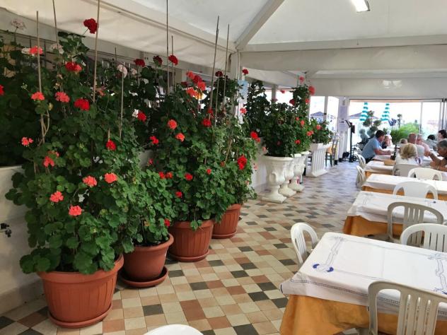 1 Vetrina in vendita a Camaiore - Foto 3