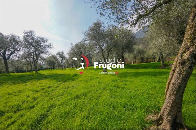 vf911 - TENUTA CON 2 ETTARI E ANNESSI AGRICOLI - Foto 4