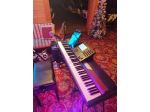 PIANO DIGITALE KORG SP 250