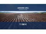 Immobile in asta di 4000 m² in vendita a Ardore