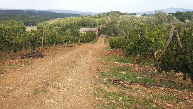 Terreno edif. residenziale in vendita a Paganico - Civitella Paganico 50000 mq Rif: 1072899 - Foto 2