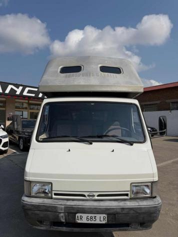 NISSAN TRASPORTO CAVALLI TRADE 100 rif. 23969029 - Foto 2