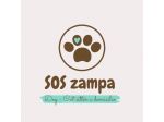Pet sitter