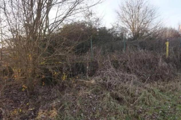 Immobile in asta di 363 m² in vendita a Commessaggio - Foto 3
