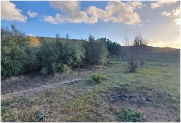 Immobile in asta di 37140 m² in vendita a Carlentini - Foto 7
