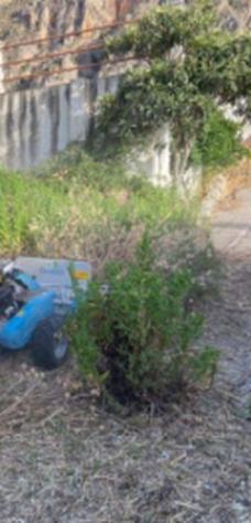 Immobile in asta di 56 m² in vendita a Palermo - Foto 7