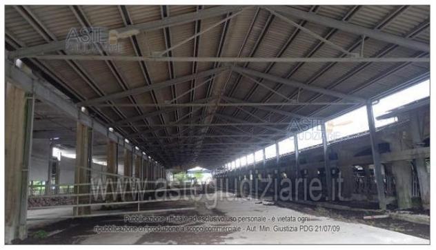 IMMOBILI-ALTRA CATEGORIA-località Le Torzine - Foto 7