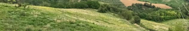 Immobile in asta di 460383 m² in vendita a Penne - Foto 4