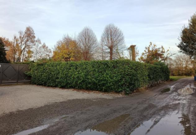 Immobile in asta di 129 m² con più di 5 locali in vendita a Arcene - Foto 6