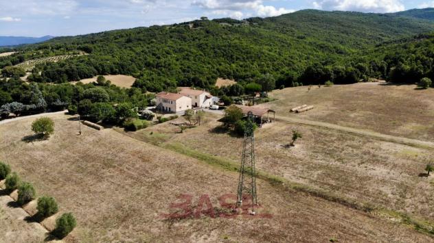 Indipendente in vendita a Montecatini Val di Cecina - Foto 5