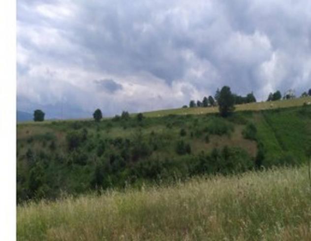 Immobile in asta di 4 m² in vendita a Rionero in Vulture - Foto 4