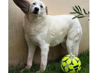 Consuelo: dolce, equilibrata, socievole
