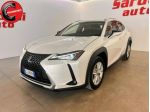 LEXUS UX 250h UX Hybrid Business rif. 24094153