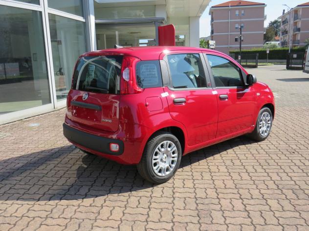 FIAT Pandina 1.0 FireFly 65cv S&S 6m Hybrid Icon - Foto 4