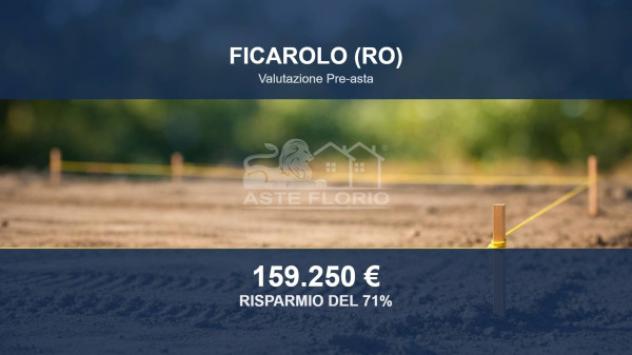Immobile in asta di 36113 m² in vendita a Ficarolo