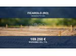 Immobile in asta di 36113 m² in vendita a Ficarolo
