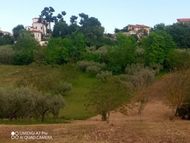 Uliveto in vendita a Lanciano - Foto 12