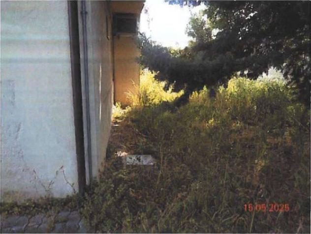 Immobile in asta di 1043 m² in vendita a Spoltore - Foto 6