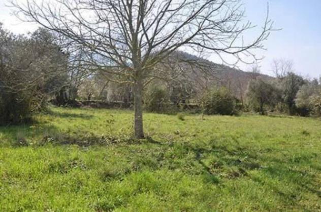 Immobile in asta di 173 m² in vendita a Pietramelara - Foto 19